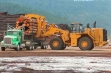cat-988_peregruzhatel