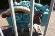 Тракторный дизель Detroit Diesel