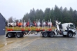 Volvo FMX сортиментовоз