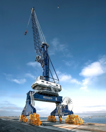 Liebherr LPS-550 портовый рельсовый кран